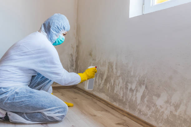 Mold inspector in Abington performing thermal imaging